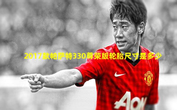 2017款帕萨特330尊荣版轮胎尺寸是多少