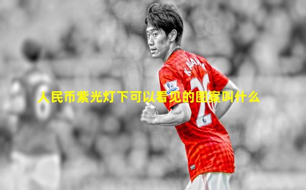 人民币紫光灯下可以看见的图案叫什么