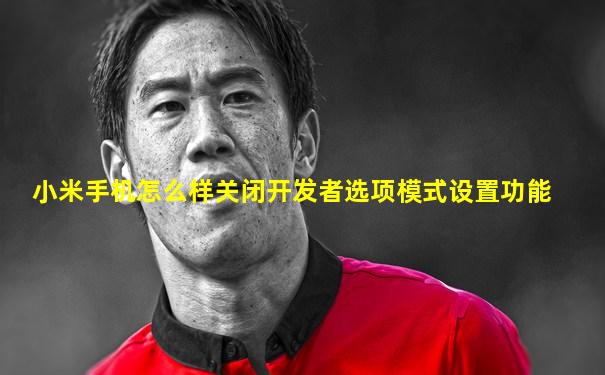 小米手机怎么样关闭开发者选项模式设置功能
