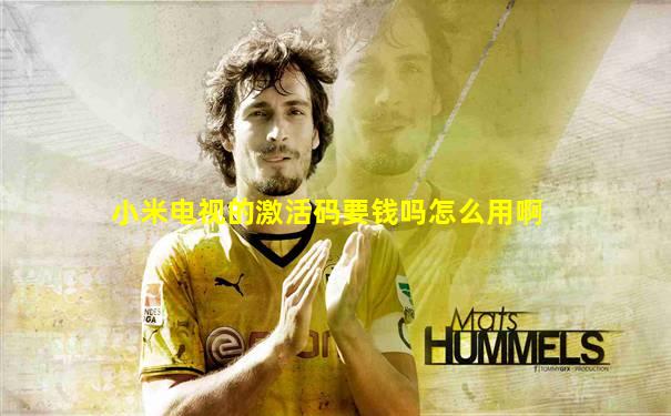 小米电视的激活码要钱吗怎么用啊